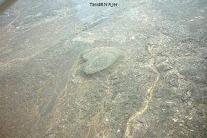 Algerie mars 2010_000019
